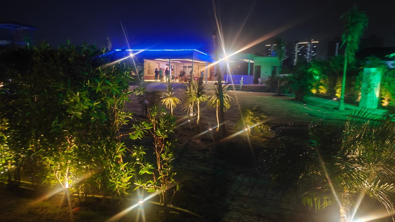 The gardens lit up after dark