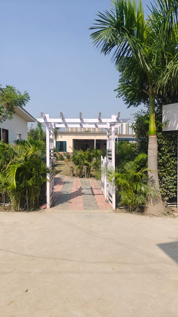 The entrance and green surroundings of the farmhouse